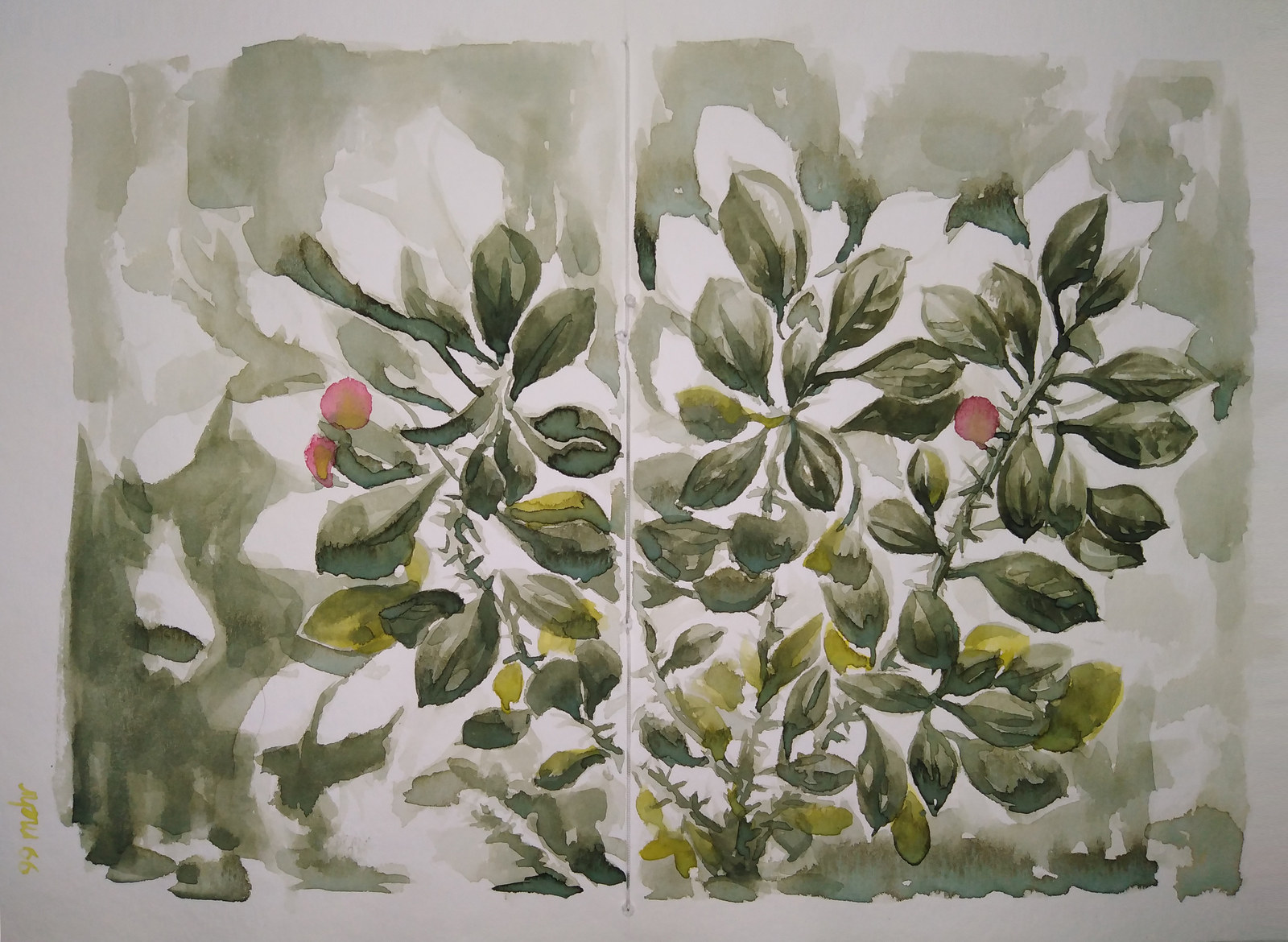 Untitled, watercolor on paper, 2019